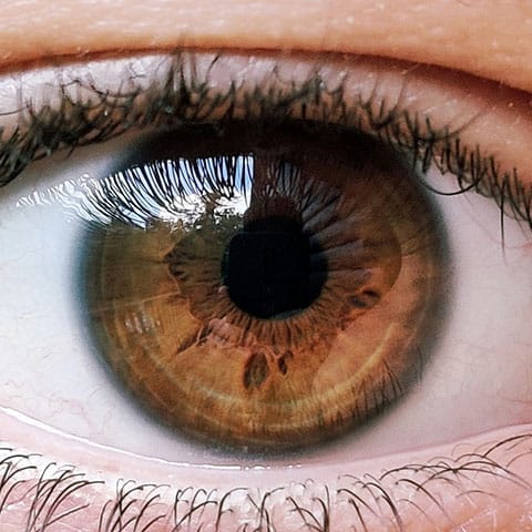 Eye and iris relating to Refractive Lens Exchange at Sapphire Eye Care