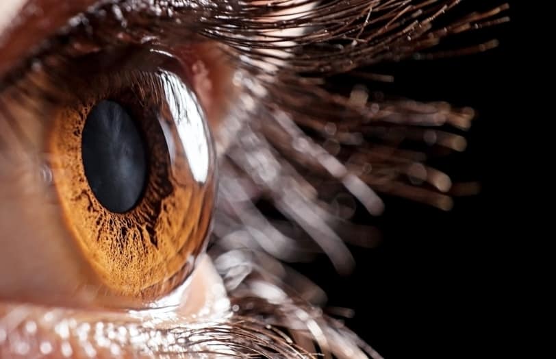 Close up of an eye and pupil